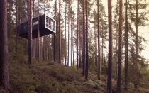 treehotel cabin habitación suspendida en los árboles